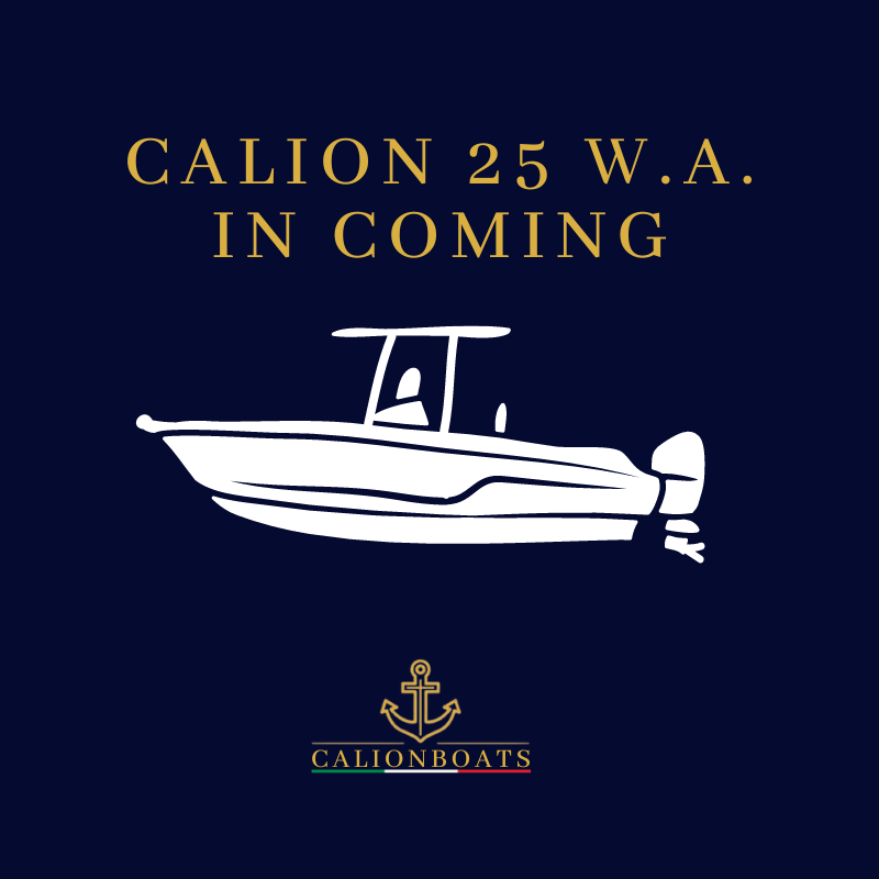 CALIONBOATS 25 W.A.